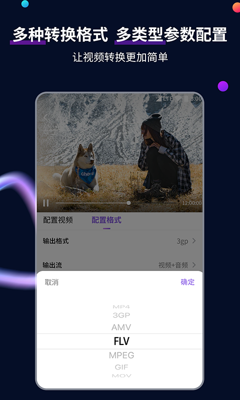 随风雏菊007截图
